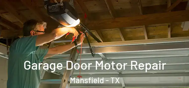  Garage Door Motor Repair Mansfield - TX